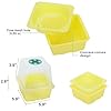 Microgreen Growing Trays, 5" x 5" Sprouting Tray with Humidity Dome, 1.2 mm Small Mesh Holes, BPA Free, Sprouter Kit for Growing Mirco Seeds, Like Broccoli, Alfalfa, Radish, Clover - 4 Pack | Colorful #2