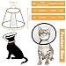 AFCJLTO Pet Cone Recovery,Halskrause Katze, Leichter Kunststoff Elisabethanischer Kragen,Geeignet für kleine bis mittelgroße Katzen mit einem Gewicht von 3 bis 5 kg (Halsumfang 22-26cm,L)