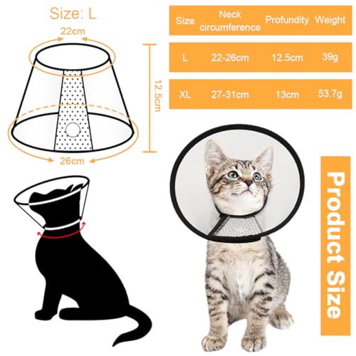AFCJLTO Pet Cone Recovery,Halskrause Katze, Leichter Kunststoff Elisabethanischer Kragen,Geeignet für kleine bis mittelgroße Katzen mit einem Gewicht von 3 bis 5 kg (Halsumfang 22-26cm,L)
