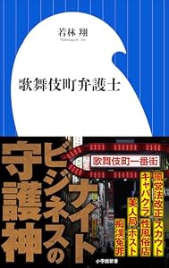 歌舞伎町弁護士（小学館新書）