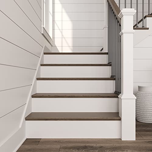 11/32-In X 7-1/2-In X 42-In Primed And Oak Reversible Riser #TOP2