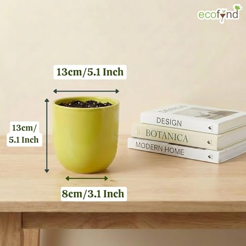 Image of ecofynd 5 Inch Ceramic Plant Pots with Drainage Hole, Modern Decorative Clay Flower Pots for Indoor Plants, Home Garden Decor for Living Room, Bedroom & Interior Spaces (CPOT041-LGN)