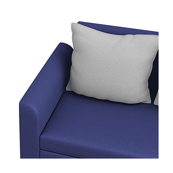 Amazon Brand Solimo Nigella Fabric 2 Seater Sofa (Blue)