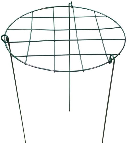 Panacea Products 89323 14" D x 20" H Grow Thru Peony / Perennial Plant Supports - Quantity 48