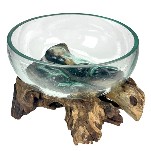 Molten Glass Bowl on Driftwood, 10 Inch Low Wide Hand Blown Decorative Bowl, Unique Natural Wood and Glass Sculpture, Table Centerpiece, Planter or Terrarium, Driftwood and Glass Decor for Home