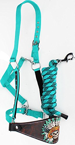 PRORIDER Horse Noseband Tack Bronc Leather Halter Tiedown Lead Rope Turquoise 280M02
