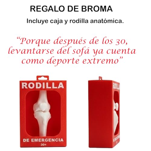 Repuestos caja para rotomartillo Truper ERGO-4580 21 Imagen adicional