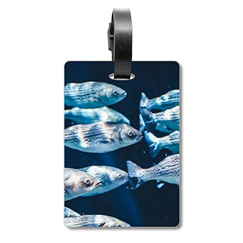 Étiquette de valise poissons robuste de haute qualité pour sac de voyage de luxe