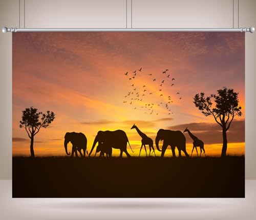 Arrière-plan de photographie coucher de soleil africain pour safari