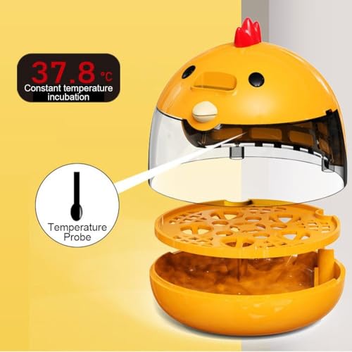Mini incubateur d'œufs multifonctionnel avec couvercle transparent de précision