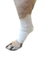 Algopix Similar Product 13 - Pawflex Bandages Universal Joint