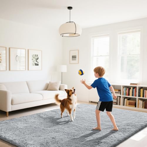 Fluffy Rug Shaggy Area Rug, Grey 3x5 Area Rugs for Bedroom, Small Bedside Rug, Soft Fluffy Shaggy Entryway Throw Rugs for Living Room Bedroom Kids Room Home Decor