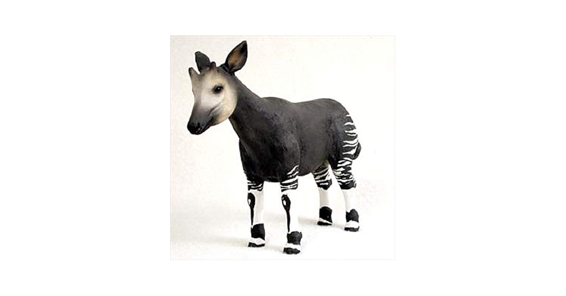 おかぴ Amazon.co.jp: 会話のコンセプツ オカピスタンダードフィギュア : Home