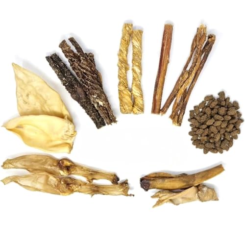 Dragonfly Products All Natural Healthy Dog Treats Box | Long Lasting Chews for Medium to Large Breed Dogs | Grain Free & Hypoallergenic