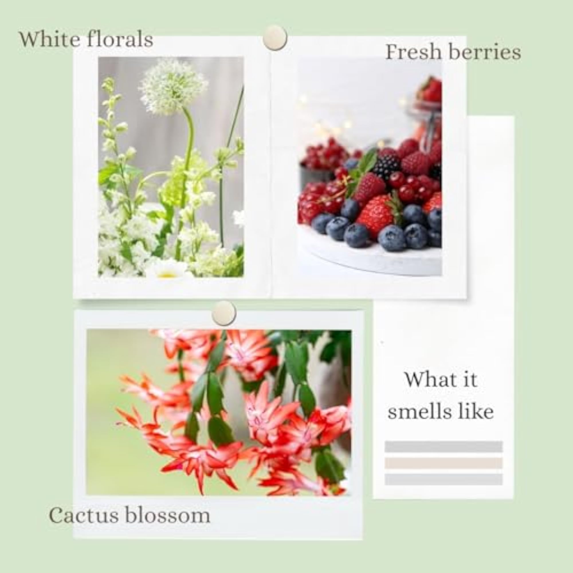 Meadow Fresh Body Butter, Nourishing Hydration Gift