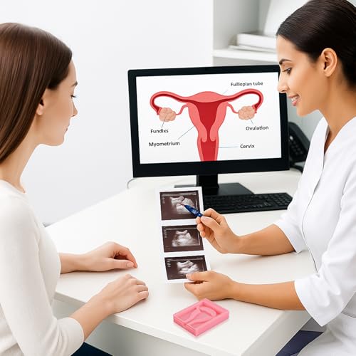 Image of SimCoach IUD Training Model, Female Intrauterine Contraceptive Device Simulator Trainer, Style B