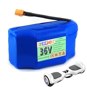 新品未使用 送料無料 電動自転車用バッテリー 48V / 6Ah 充電器セット 61yIXgXBhjL._UF350,350_QL50_.jpg