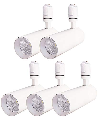 【Amazon Alexa認定】アレクサ対応 エジソンバルブLEDスマート スポットライト ダクトレール用 (ホワイト) 5個セット LED一体型 調光 調色 スマート電球 DST-SL01WH 【Amazon Alexa認定】アレクサ対応 エジソンバルブLEDスマート スポットライト ダクトレール用 (ホワイト) 5個セット LED一体型 調光 調色 スマート電球 DST-SL01WH