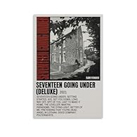 In the color options, you can choose a framed style and unframe style. Order according to your needs. If you like this series of LANGYA posters, please enter my shop to search. SUPERIOR QUALITY: They are High Resolution Images Printed on canvas, usin...