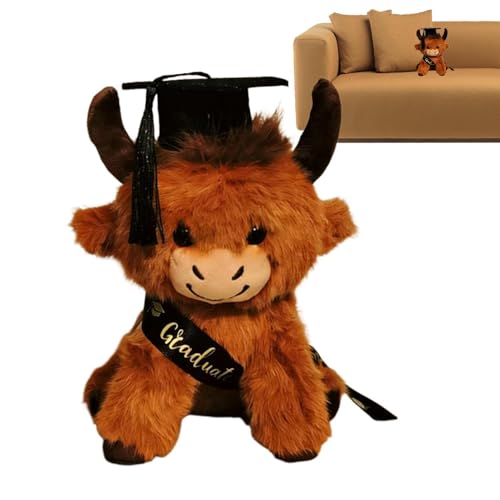 Peluche de diplôme 25 cm ours doux pour fête de remise des diplômes