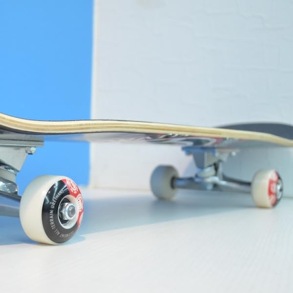 ELEMENT スケートボード 8inch コンプリート完成品 Amazon | ELEMENT(エレメント) スケボー コンプリート