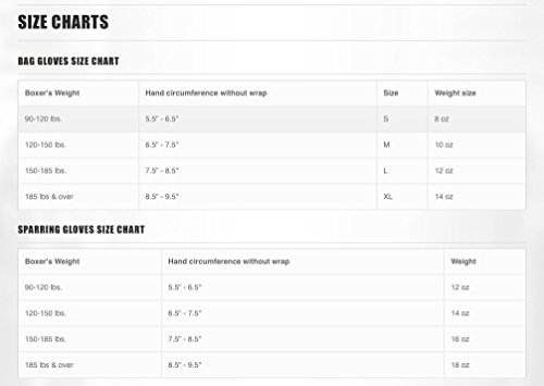 RIVAL Boxing RS11V Evolution Sparring Gloves With | Ubuy