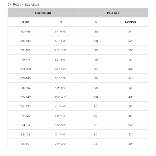 HEAD Worldcup Rebels Carbon White