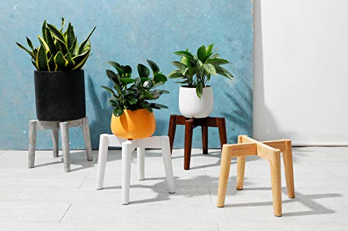 Litada Plant Stands (Set Of 2) Mid Century Modern Plant Stand Indoor (Plant Pot Not Included) Flower Pot Holder Home Decor (Natural-2Pcs) #TOP5