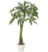 Amazon｜LYERSE フェイクオリーブの木 150cm 大樹冠タイプ 観葉樹