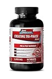 Creatine Ethyl Ester - Creatine Tri Phase 5000 Mg - Improves Glucose Tolerance (1 Bottle - 90 Tablets)