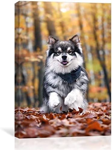 Custom Canvas Prints With Your Photos,Personalized Pictures On Canvas Wall Art for Bedroom, Living Room, Wedding Baby Pet Family Picture Framed Wall Art (5″W x 7″H) – Gift Wrapping Available