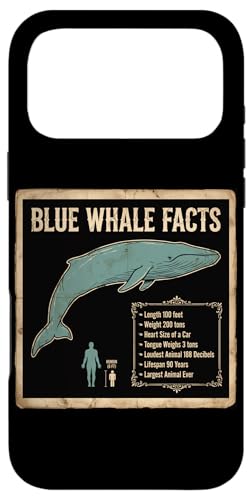 �u���[�z�G�[�� �V���i�K�X�N�W�� BLUE WHALE FACTS �C�m���� �G�w �X�}�z�P�[�X iPhone 17 Pro Max �p