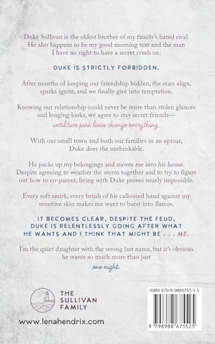 One Night: A Sullivan Family Special Edution