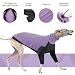 Whippet-Pullover für Hunde, Winterpullover für Whippet mit Halswärmer, italienische Windhunde, Kleidung für den Winter, warm und bequem für Windhunde, Lila, Größe S