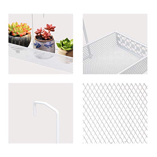 Panier à suspendre avec crochets solides pour installer des succulentes