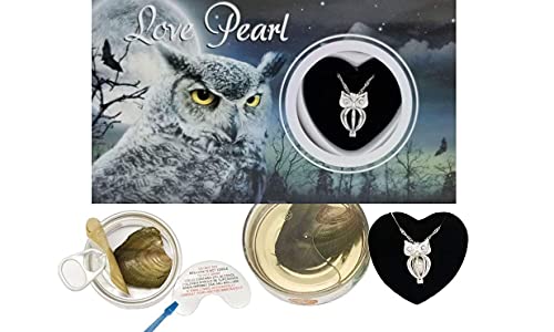 Owl Love Wish Pearl Kit Chain Necklace Kit Pendant Cultured Pearl In Kit Set With Stainless Steel Chain 16\ #TOP1