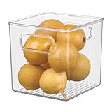 iDesign Plastic Fridge and Freezer Storage Organizer Cube Bin With Handles, Clear Container for Food, Drinks, Produce Organization, BPA-Free, 6