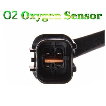 おんまゆ AREA X Dingyun Zhang Crystal embellished baroque Crop Down