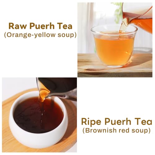 LWXLJMJZC Ripe Puerh Mini Tuo Cha Variety Pack