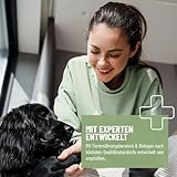 ReaVET Grünlippmuschel Kapseln für Hunde hochdosiert 300Stk - Gelenktabletten Hund mit Grünlippmuschelpulver in Vollfettqualität 10,2%, Grünlippmuschelextrakt für Gelenke