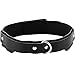 1.25IN Confort Fit Collar