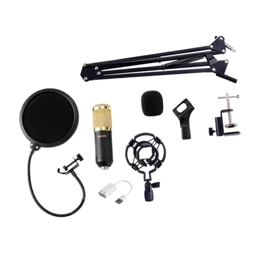 Microphone à condensateur BM noir et or avec filtre anti-pop et câble haute fidélité