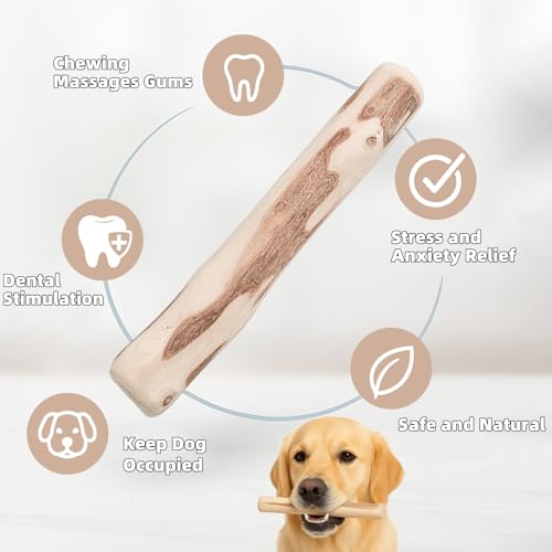 3 Stück Kaffeeholz für Hunde, Kaustab Kauholz, Kaffeeholz Kauholz, Natürliches Kauholzs, Natürlicher Kaffeehol, Holzknochen als Hundespielzeug für Welpen, Sicherer Kauspaß für kleine und große Hunde