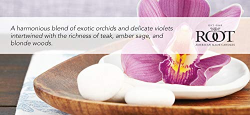Root Candles Long Lasting Beeswax Blend Scented Candle Made In The Usa, Large Veriglass, Teak & Orchid #TOP1