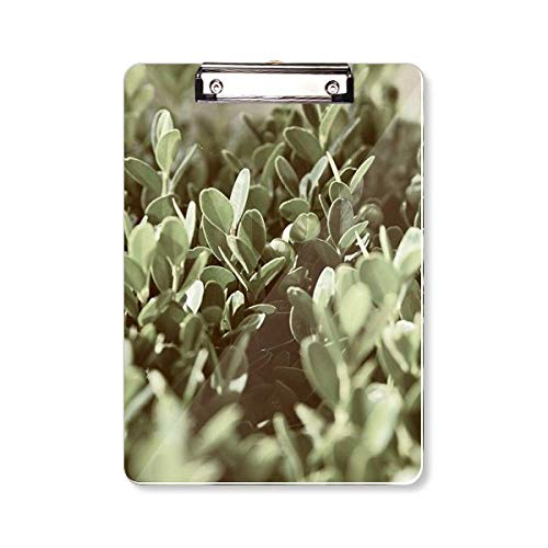 Presse-papiers A4 Sunshine plante nature porte-bloc pour bureau et herbiers