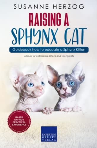 Top 10 Must-Have Products for Your Adorable Sphynx Kittens – A