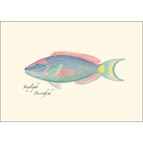 Image of Earth Sky + Water - Reef Fish Assortment Notecard Set - 8 Blank Cards with Envelopes (4 each of 2 styles)