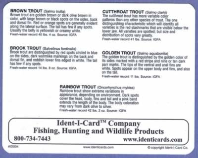 Ident-I-Cards Stream Trout Freshwater Fish Identification Card