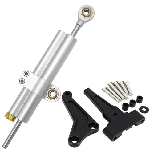 �X�g���[�g�g���v��1200 RS 765S 765R 765RS �I�[�g�o�C�����X�e�A�����O�_���p�[�X�^�r���C�U�[���t���u���P�b�g�ɓK�� �X�e�A�����O�_���p�[ �o�C�N �X�e�A�����O�_���p�[(Silver double tube)