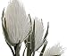 Hogar y Mas Flor Blanca Artificial, Ramas Decorativas Altas. Flores Decoración Jarrones...